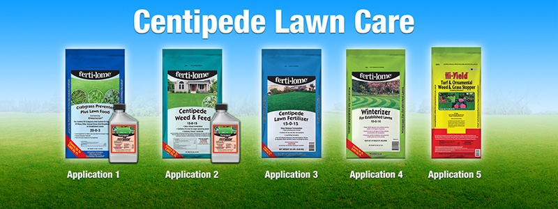 Centipede Lawn Care